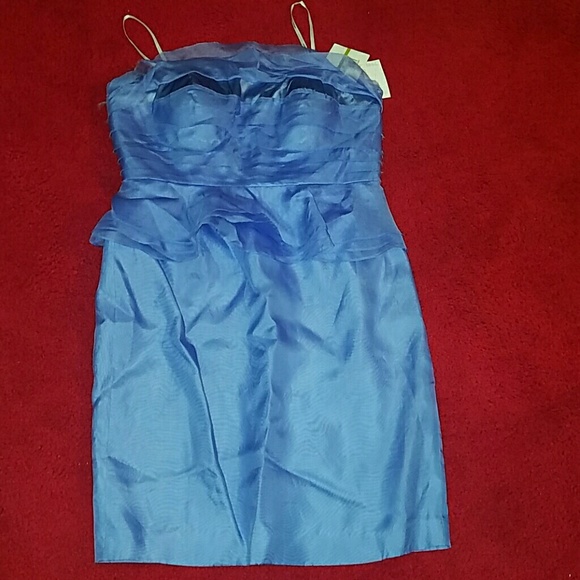 Donna Morgan Gillian Silk Organza short peplum