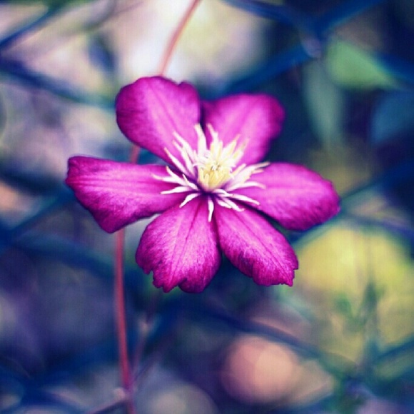 Meet your Posher, Mecca