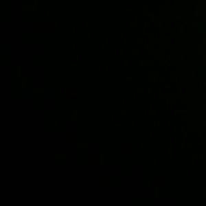 Meet your Posher, Marley