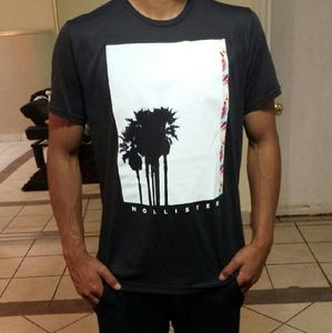 Hollister Mens Tee