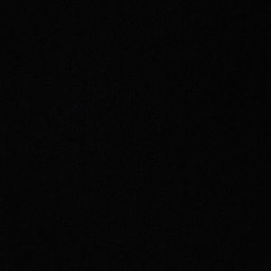 Meet your Posher, Willow