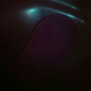 Meet your Posher, Kerry