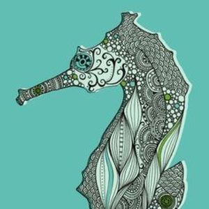 Meet your Posher, Isabel