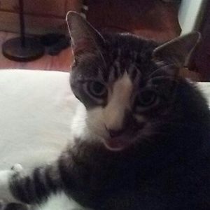 Meet your Posher, Sean