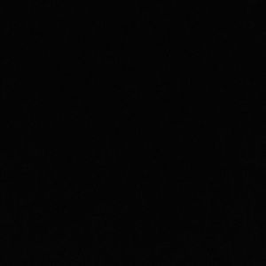 Meet your Posher, Kyra