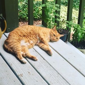 Meet your Posher, Meredith