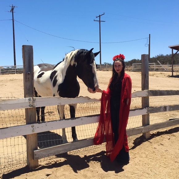 Meet your Posher, Eddy - Picture 3 of 4