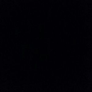 Meet your Posher, Riley