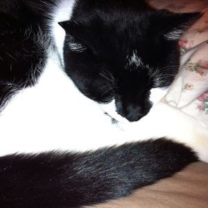 Meet your Posher, Anne