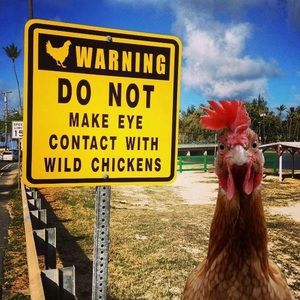 Meet your Posher, Abra