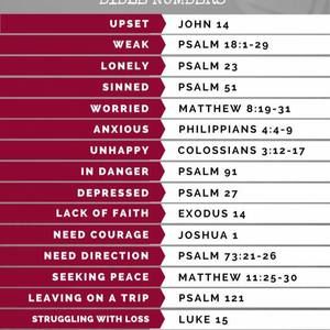 Meet your Posher, Carolyn