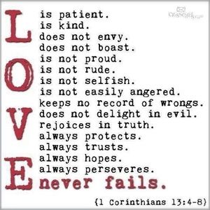 Meet your Posher, Joy