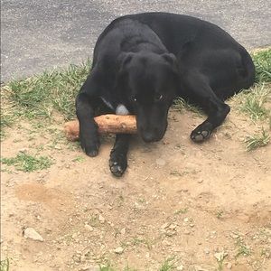 Meet your Posher, Sandi