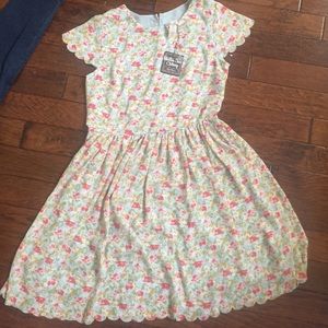 Matilda Jane super flattering dress