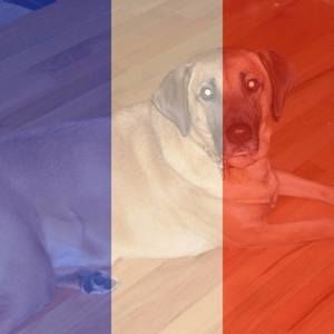 Meet your Posher, Gudrun