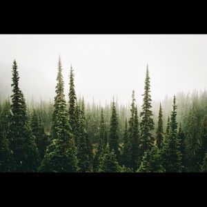 Meet your Posher, Vivian