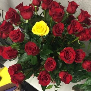 Meet your Posher, Alisa