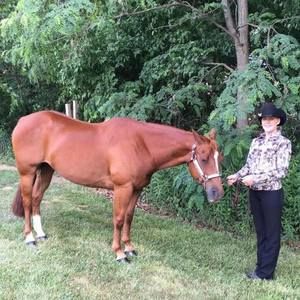 Meet your Posher, Katalin