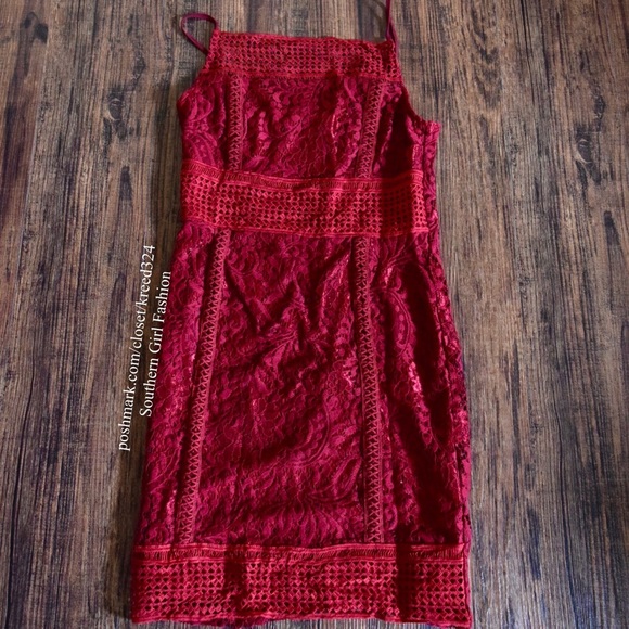 LACE DRESS Stretchy Fitted Mini Holiday Bodycon - Picture 3 of 4