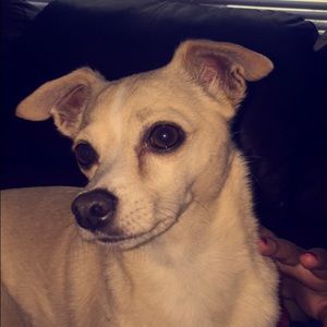 Meet your Posher, Madi