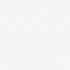 Meet your Posher, Carl