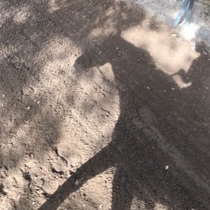 Meet your Posher, Janie