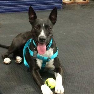 Meet your Posher, Bethany