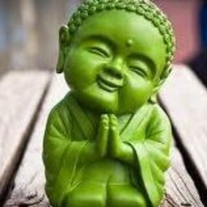 Meet your Posher, Sheree