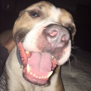 Meet your Posher, Shannon