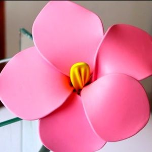 Meet your Posher, Cher