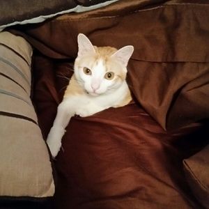 Meet your Posher, Janna