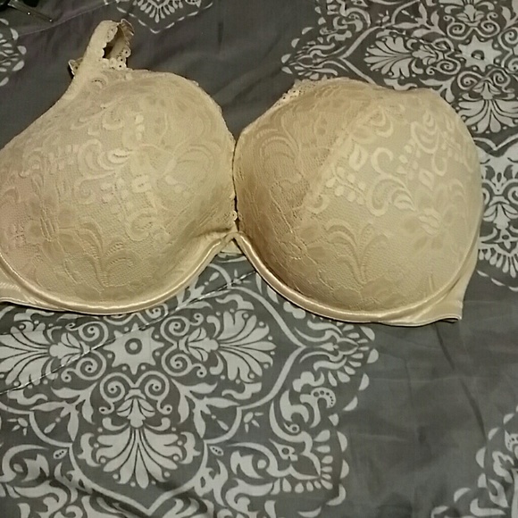 Cacique from lane bryant