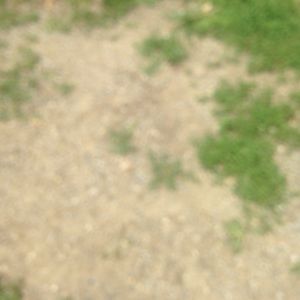 Meet your Posher, Cece