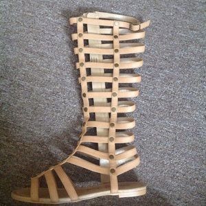Penny Loves Kenny new gladiator sandals size 6.5