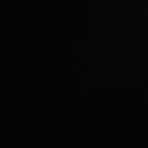 Meet your Posher, Jodi