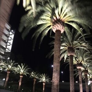 Meet your Posher, Kiya