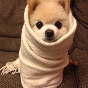 Meet your Posher, Munit