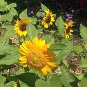 Meet your Posher, Madelyn