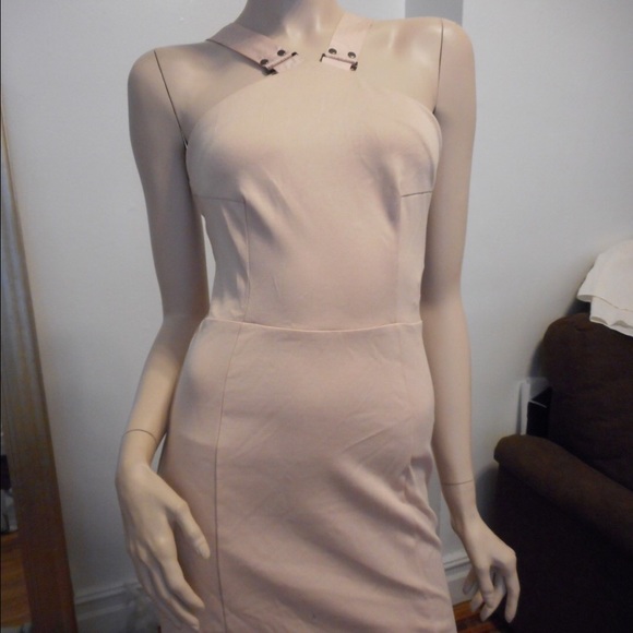 The Wandering Kind Dress in Blush