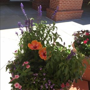 Meet your Posher, Kierra