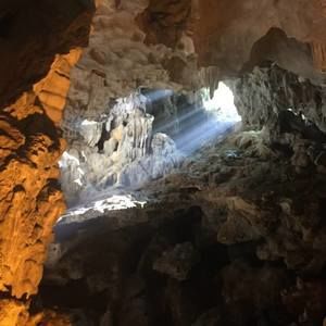 Meet your Posher, Holly