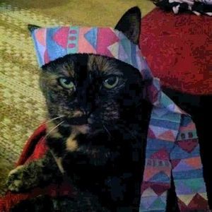 Meet your Posher, Amelia