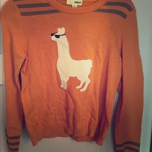 Brooklyn Industries Llama Sweater