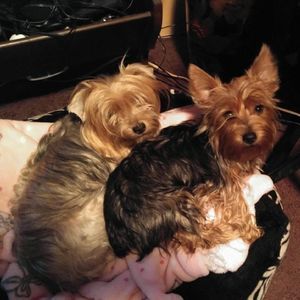 Meet your Posher, Trish