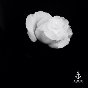 Meet your Posher, Alia