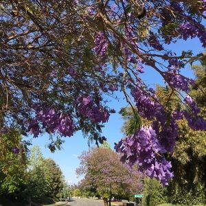 Meet your Posher, Hsin yueh