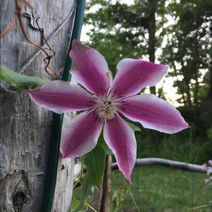 Meet your Posher, Terri