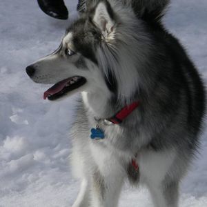 Meet your Posher, Jennifer dawn