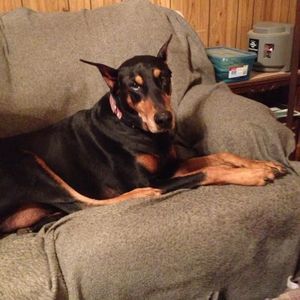 Meet your Posher, Megan