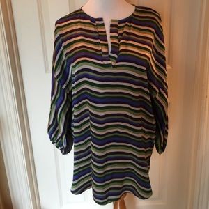 Stephanie Anne silk top/tunic